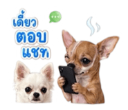 883380334