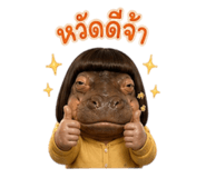883385549