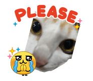 883386504