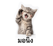 883388088