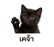 883389494