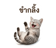 883390178