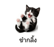 883390577