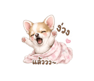 883392363
