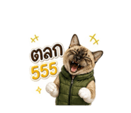 883395953