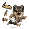 883407110