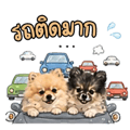 883407116