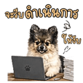883407117