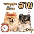 883407120