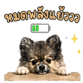 883407125