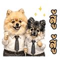 883407126