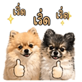 883407131