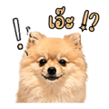 883407136
