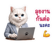 883413011