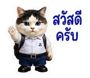883413097