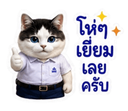 883413133