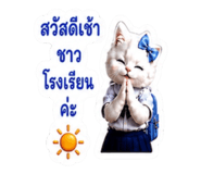 883413313