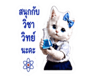 883413324