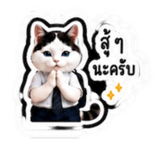 883413383