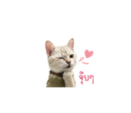 883418303