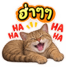 883423590