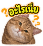 883423597