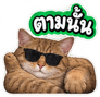 883423609