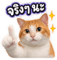 883423613