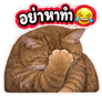883423614