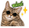 883425415