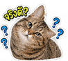883425416