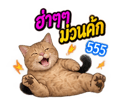 883426758