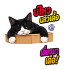 883426766