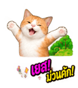 883426774