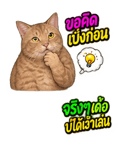 883426776