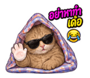 883426782