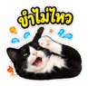 883427511