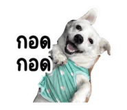 883427573