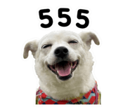 883427576