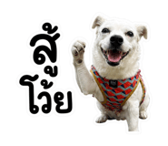 883427588