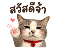 883427689
