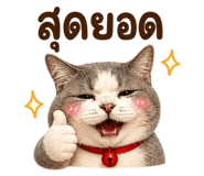 883427704