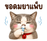 883427706