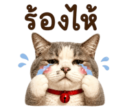 883427711