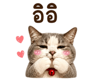 883427715