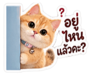 883427733