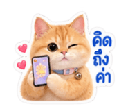 883427739
