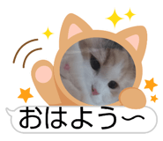 883430747