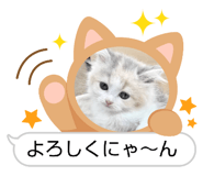 883430751