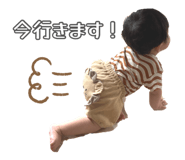 883437685